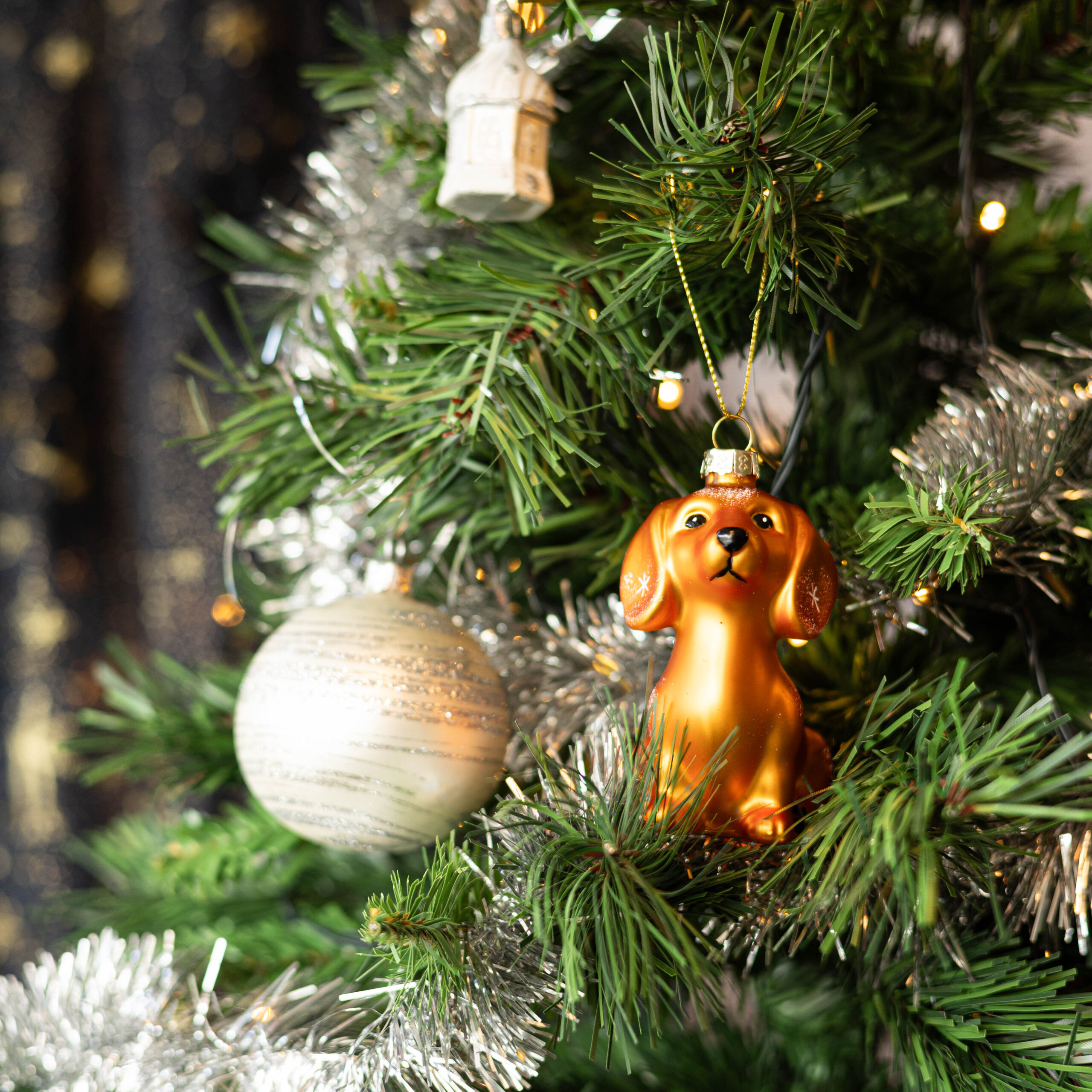 Oranje teckel in kerstboom