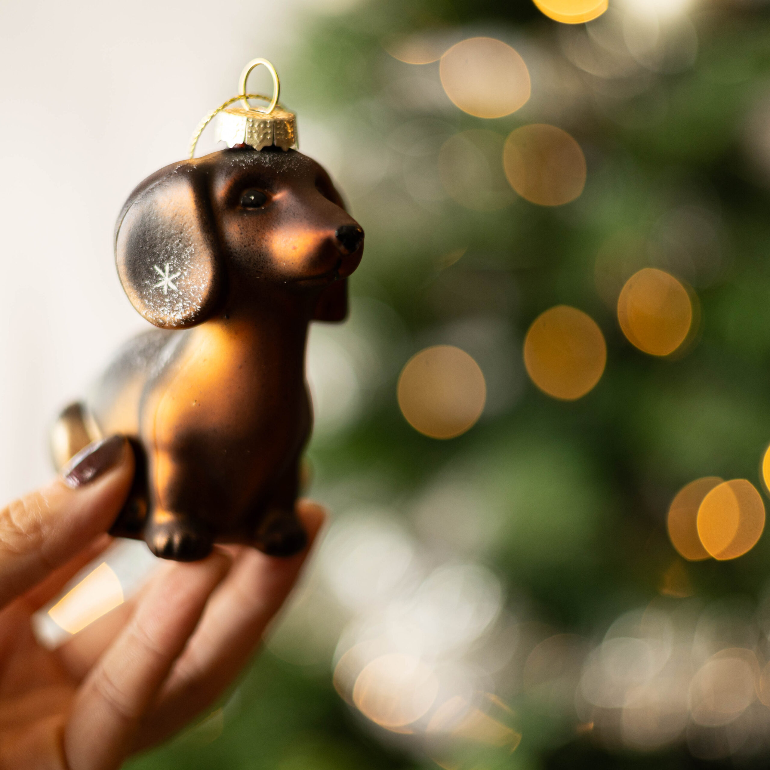 kerstbal kerstornament teckel dachshund donkerbruin in hand voor kerstboom rechtskijkend